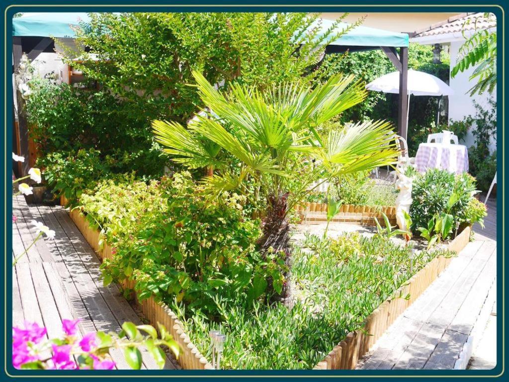 Les Embruns Apartment Mimizan-Plage Exterior foto
